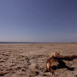 On the beach, sun loungers, beach umbrellas