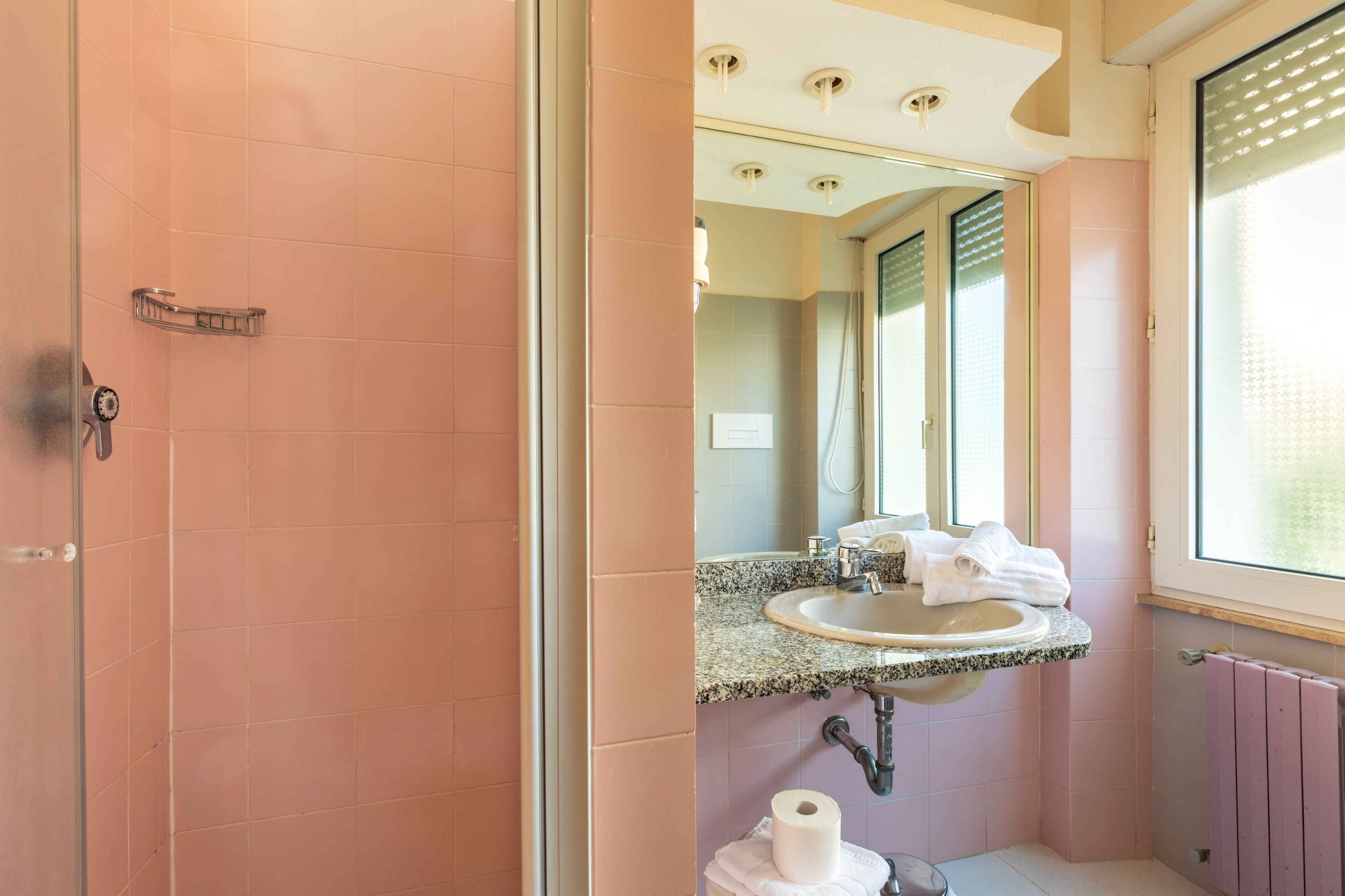 shower, free toiletries, hair dryer, bidet