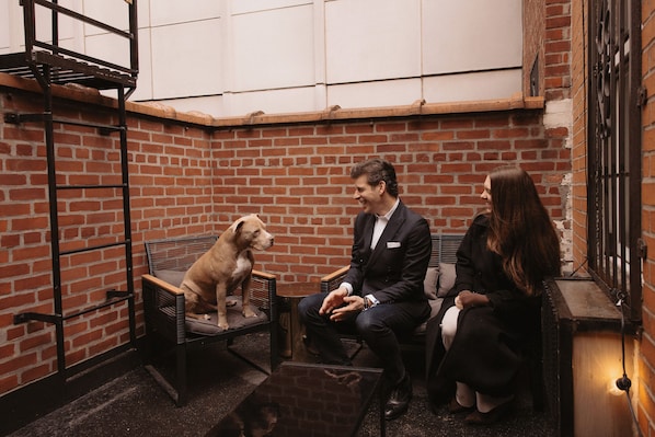 Une pièce aux murs de briques, avec un chien assis sur une chaise, un homme et une femme assis l’un en face de l’autre.