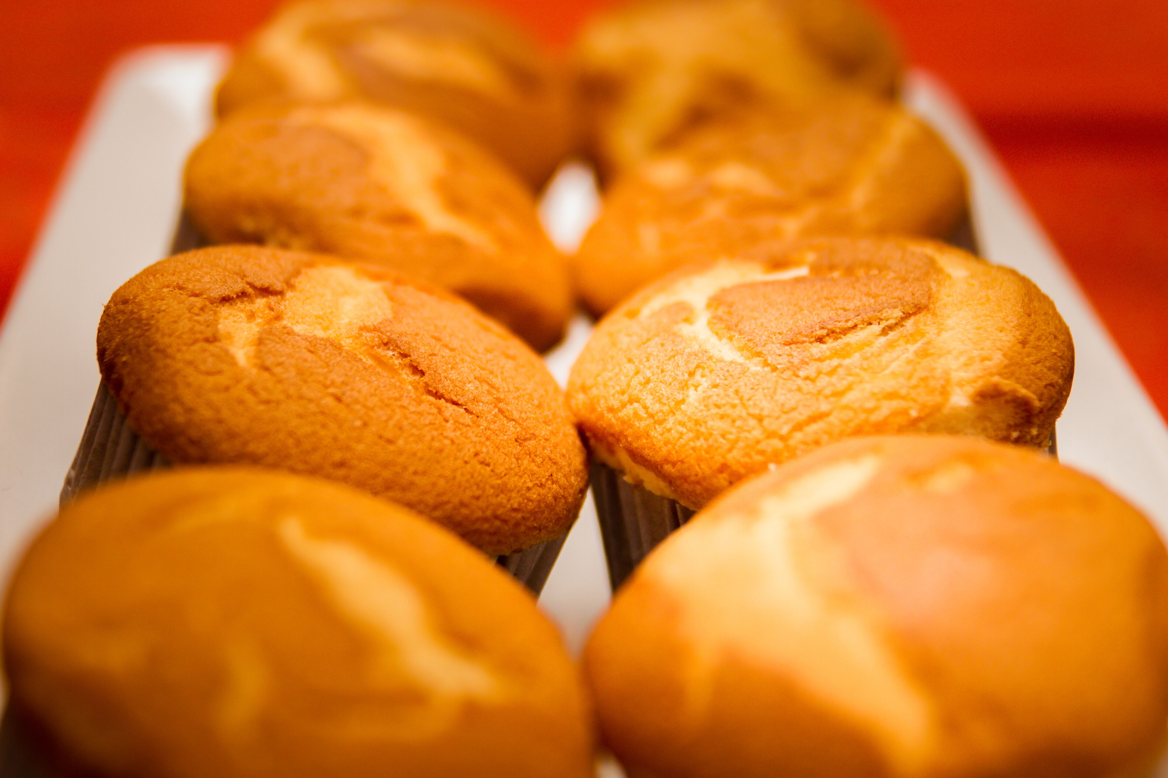 Foto - Hotel Rojas Inn