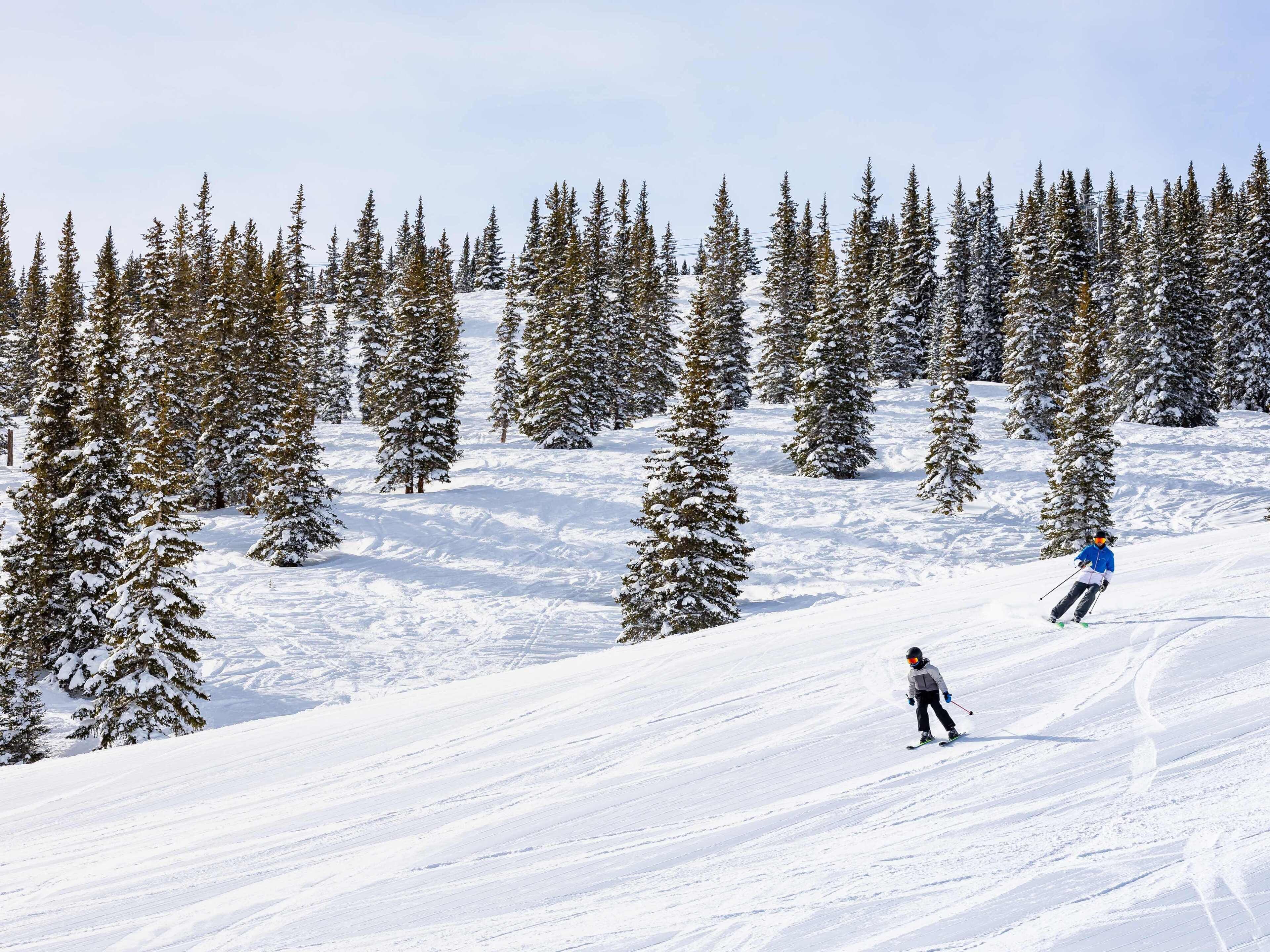 A snowy ski slope with trees.