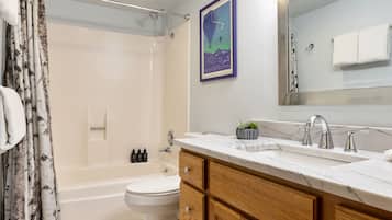Une salle de bain équipée d’une baignoire, de toilettes, d’un meuble-lavabo avec un miroir et d’un rideau de douche.