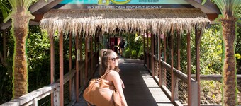 Magnums Airlie Beach