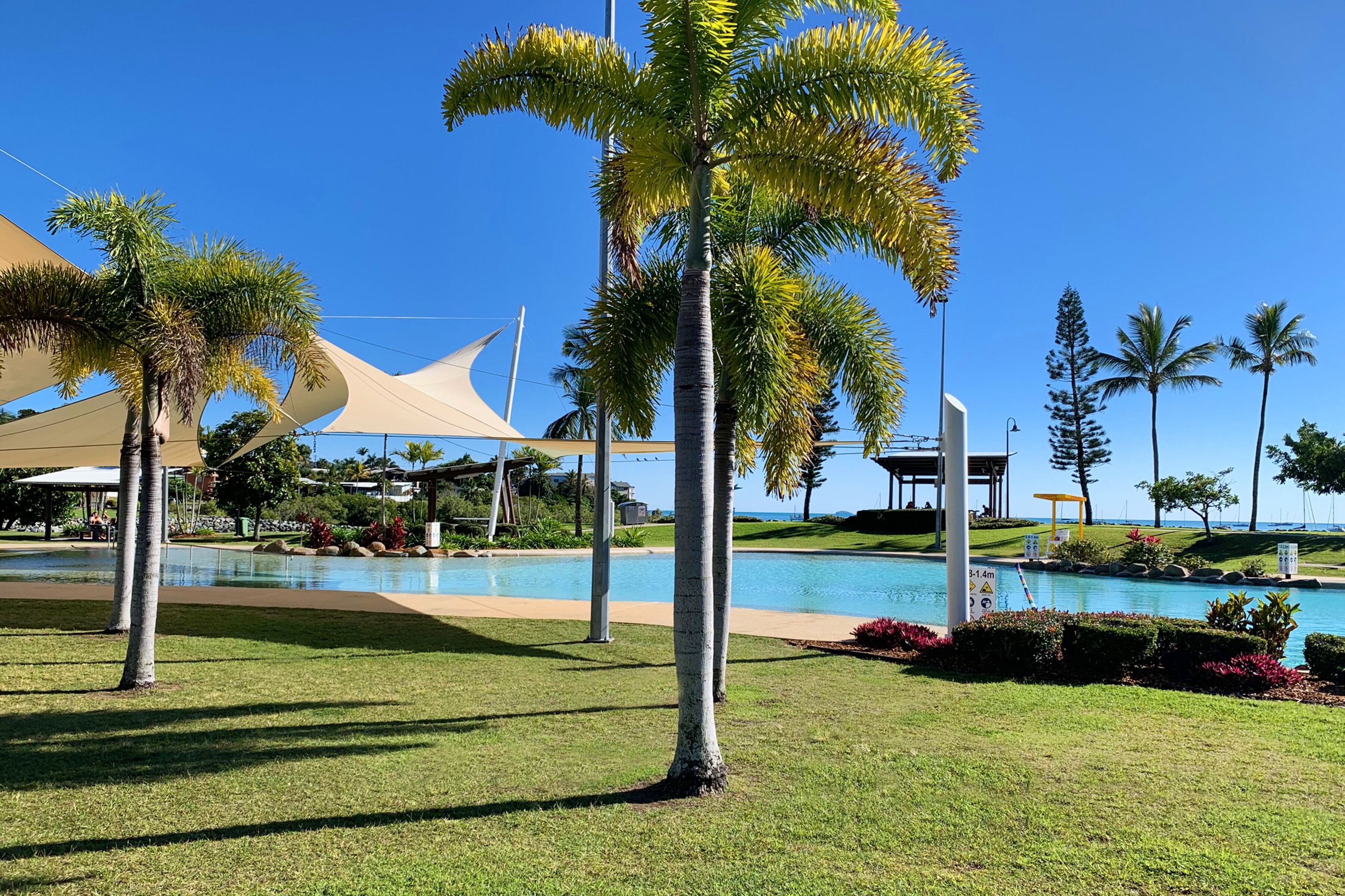 Zona de piscina con palmeras, un área de estar cubierta y un cielo azul despejado.