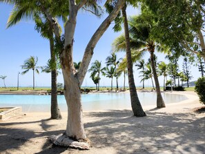 A poolside area with palm trees and a clear view of the ocean.