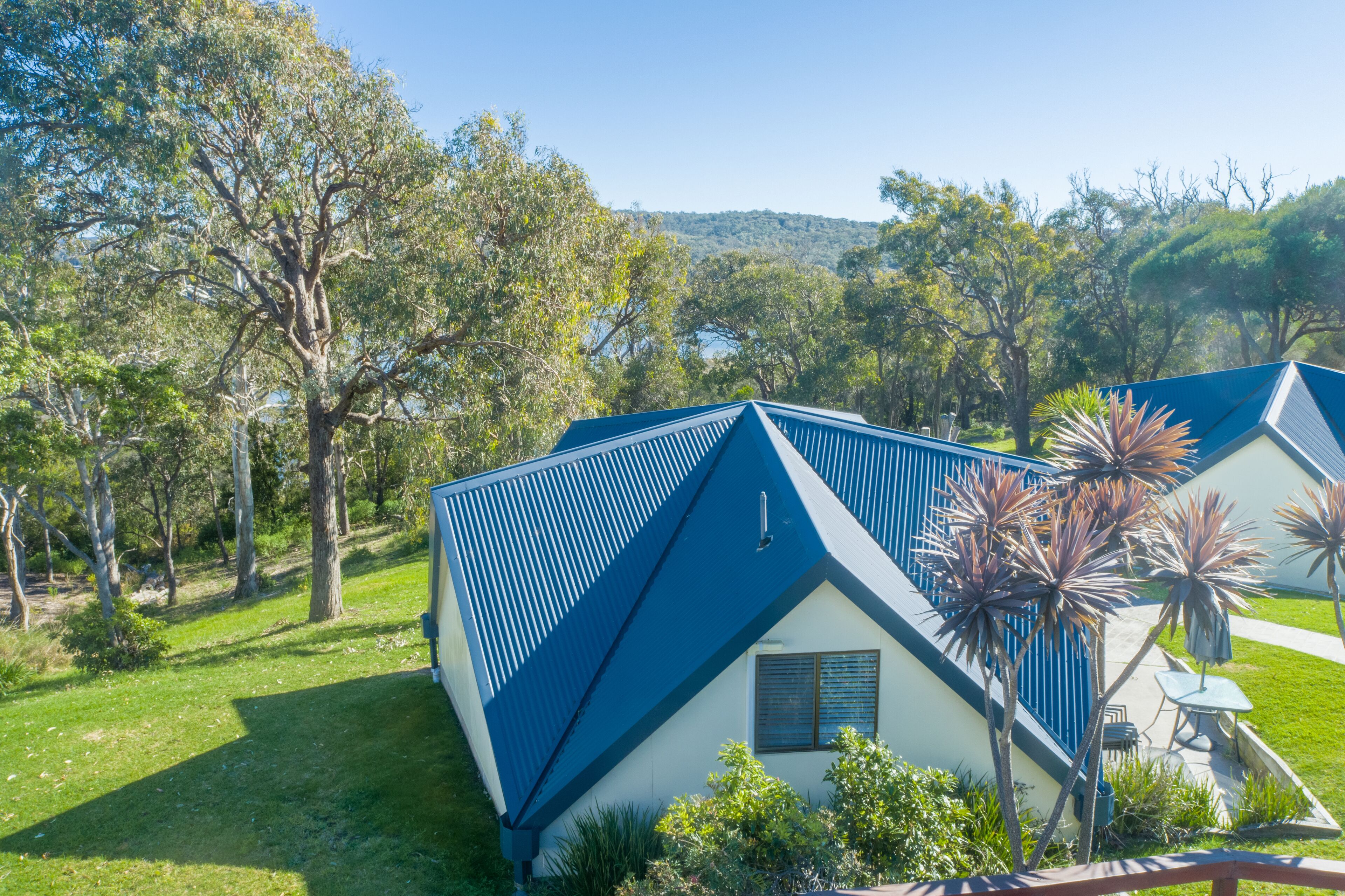 A modern house with a blue roof, surrounded by lush greenery and trees.