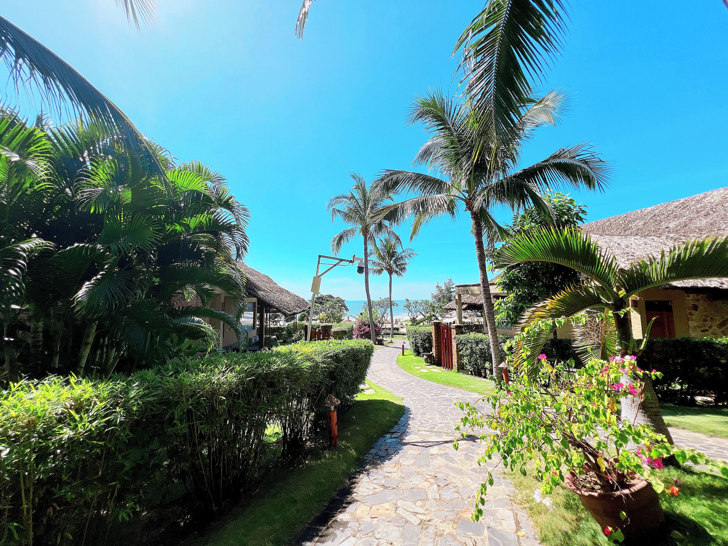 A pathway leading to a thatched-roof building surrounded by lush greenery and palm trees.