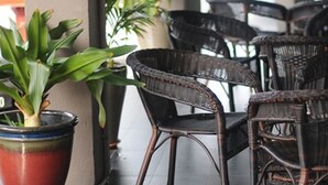 Sillas de mimbre dispuestas en filas sobre un suelo de baldosas, con plantas en macetas a la izquierda.