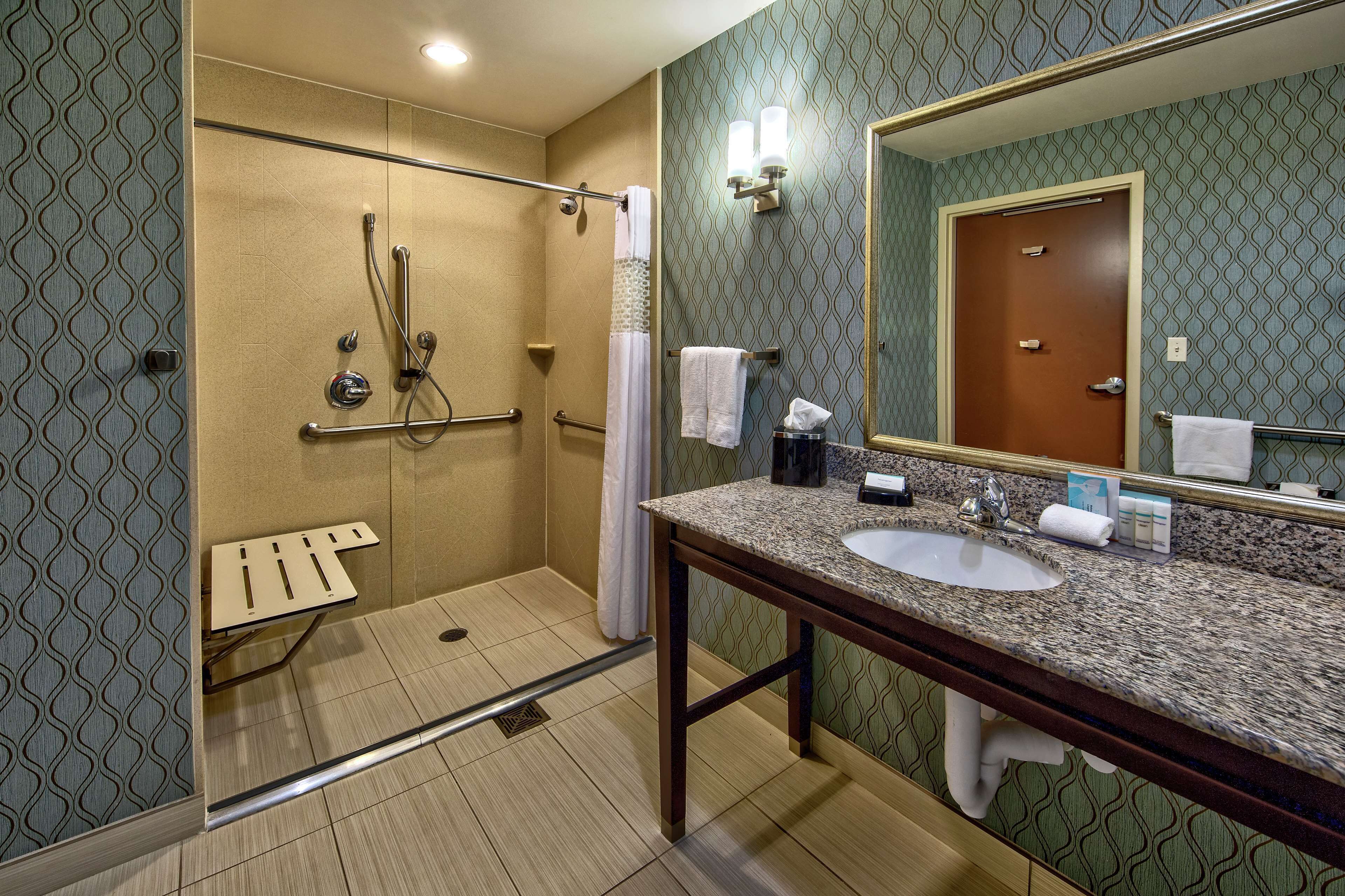 studio, 1 king bed, accessible, non smoking (roll-in shower) | bathroom shower