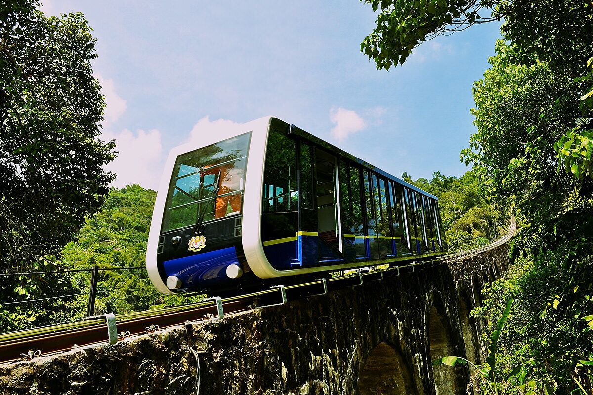 A modern train on a bridge surrounded by lush greenery.