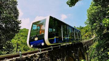A modern train on a bridge surrounded by lush greenery.