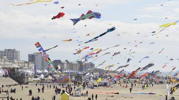 A beach with numerous kites flying in the sky.