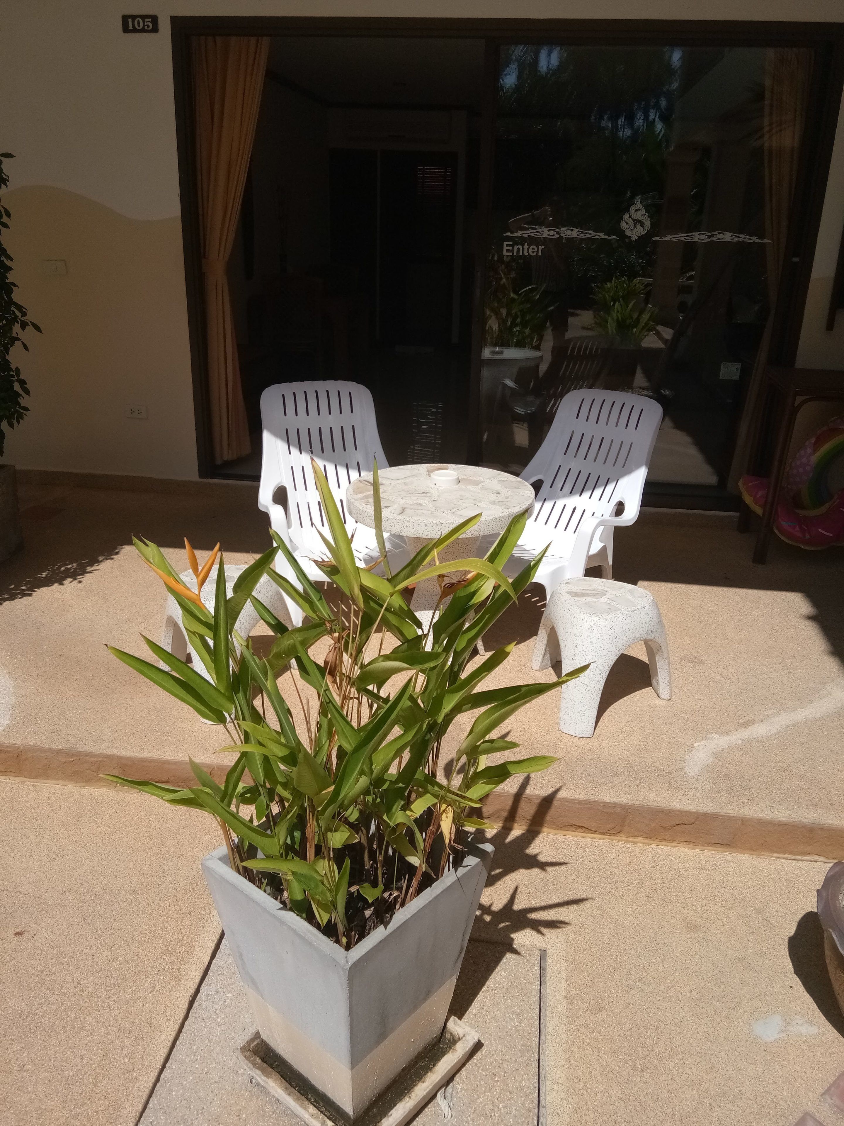 standard room | view from room