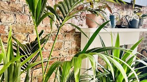A room with a brick wall, several potted plants, a small table, and a black doormat. - The Melville Hotel by Rokxy - Kings Cross (London)