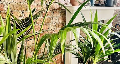 The Melville Hotel by Rokxy - Kings Cross