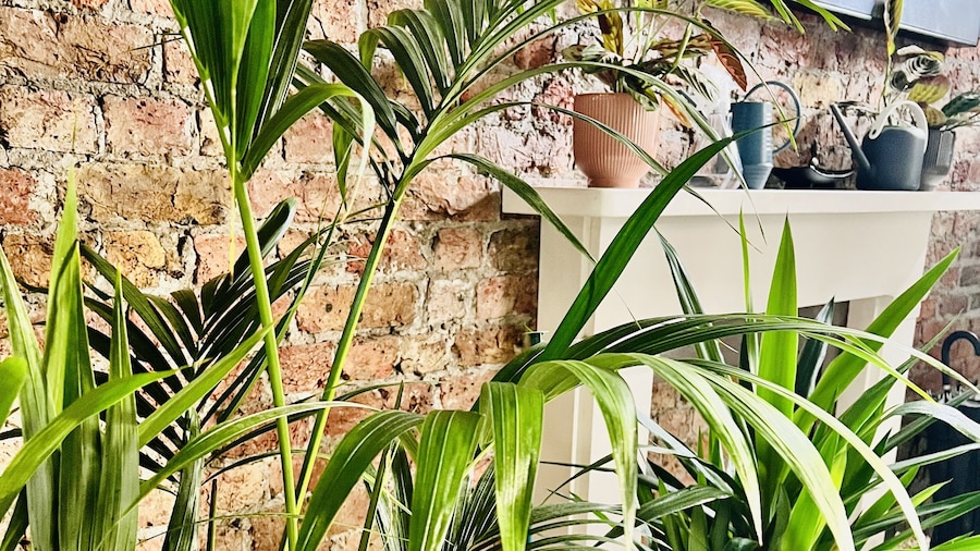 The Melville Hotel by Rokxy - Kings Cross