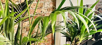 The Melville Hotel by Rokxy - Kings Cross