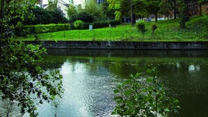 Een rivier met een park en een modern gebouw op de achtergrond.