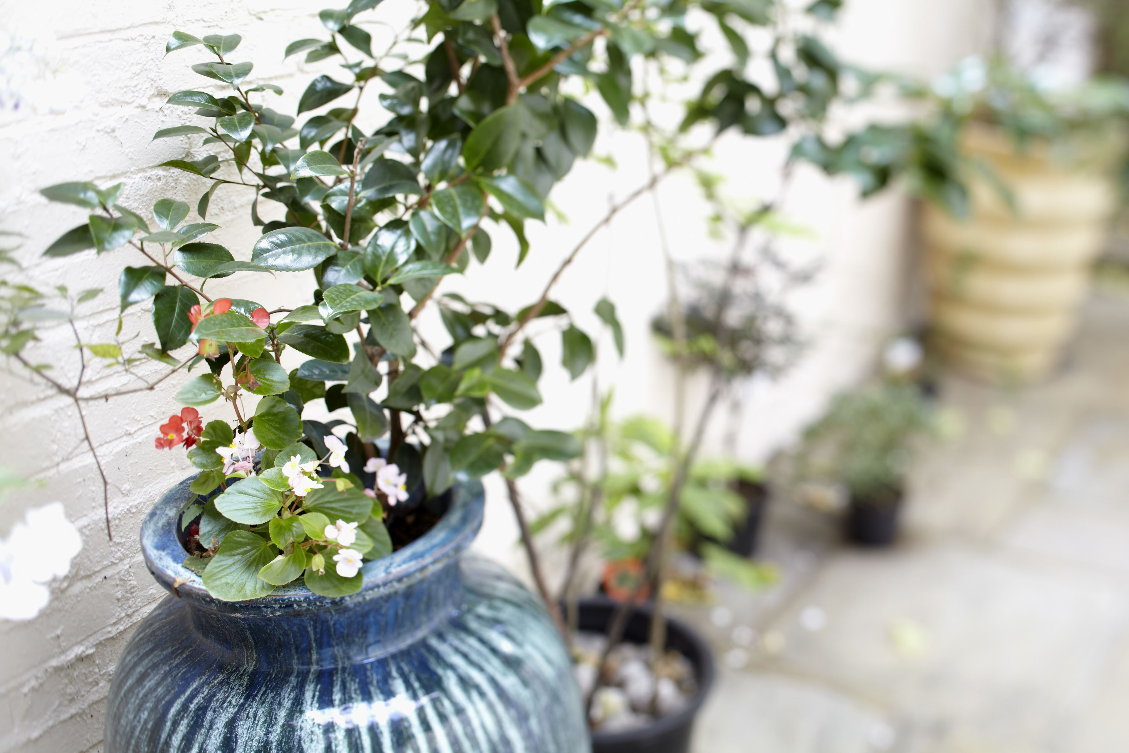 Photo - B&B Belgravia