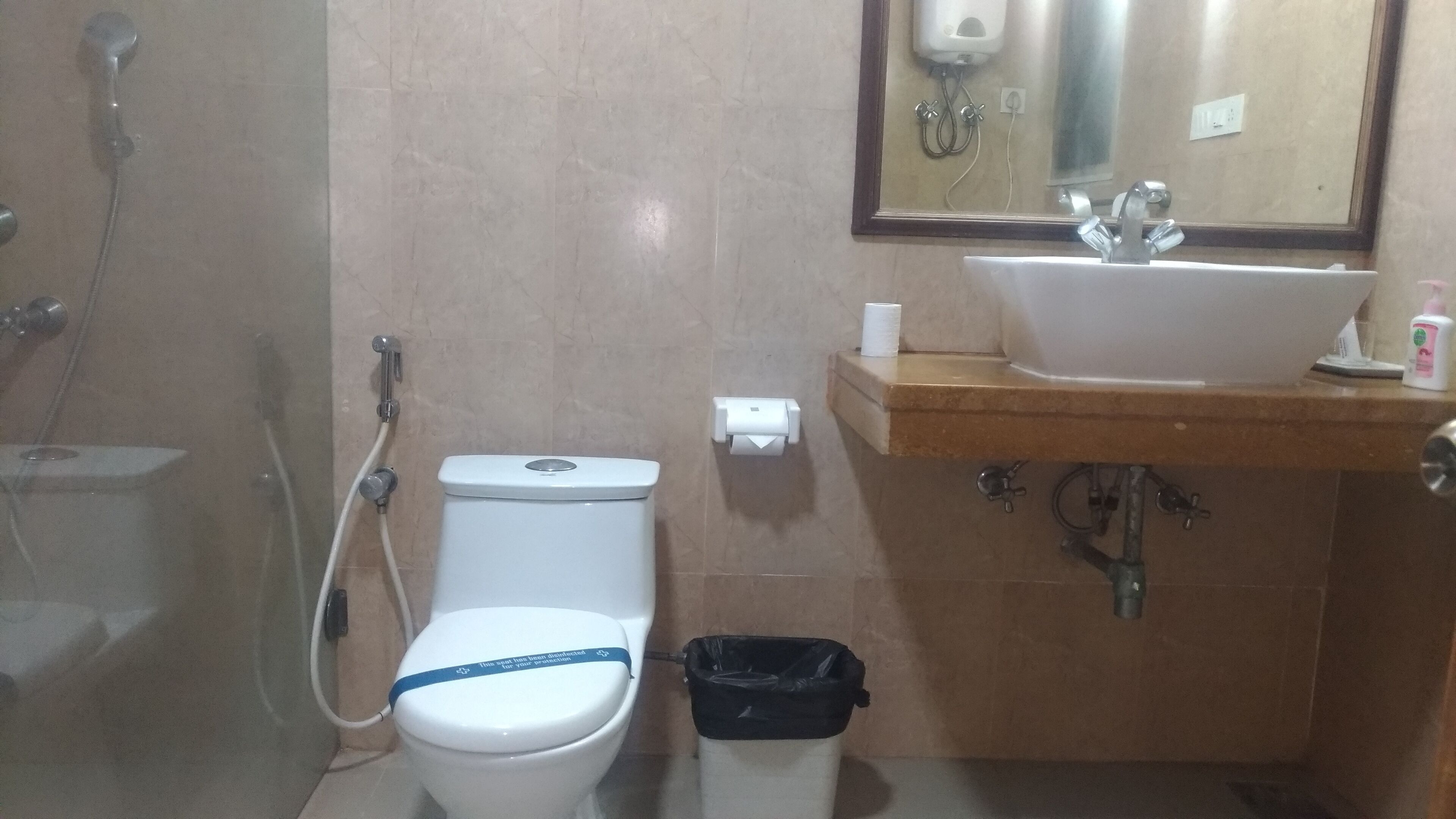 A bathroom with a toilet, a sink, a mirror, and a shower.