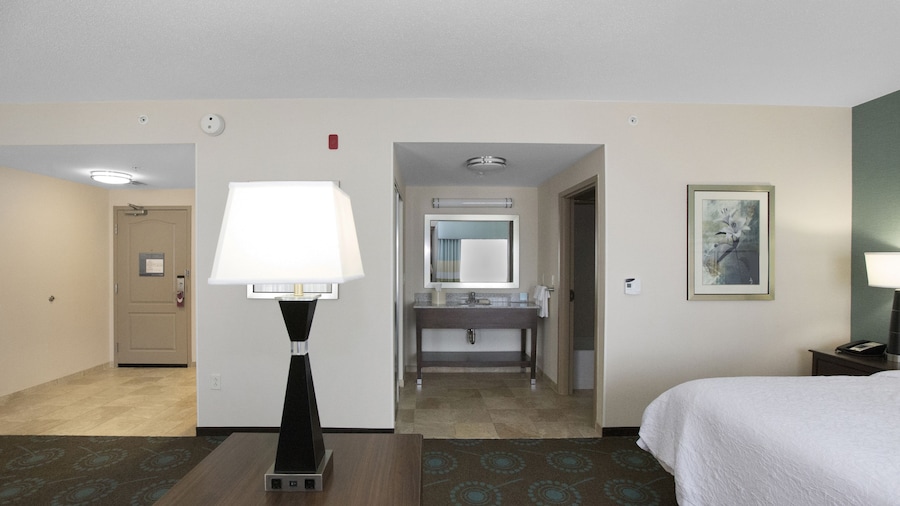 ハンプトン イン ピッツバーグ ブリッジビル