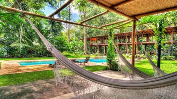 A hammock under a bamboo structure in a lush garden with a pool.