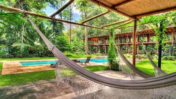 Outdoor pool, sun loungers