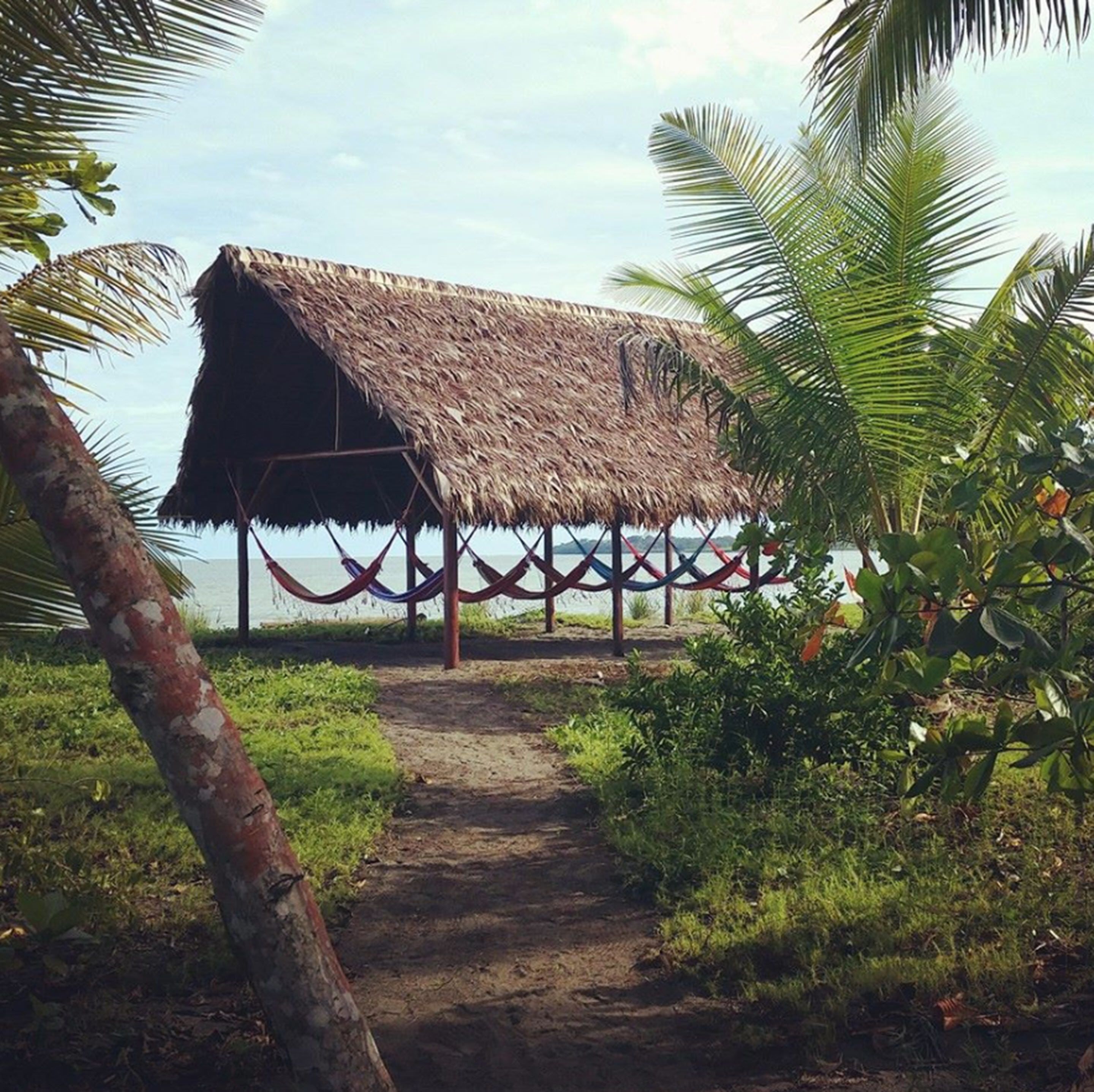 A thatched-roof hut with a hammock and a path leading to it, surrounded by greenery and palm trees.