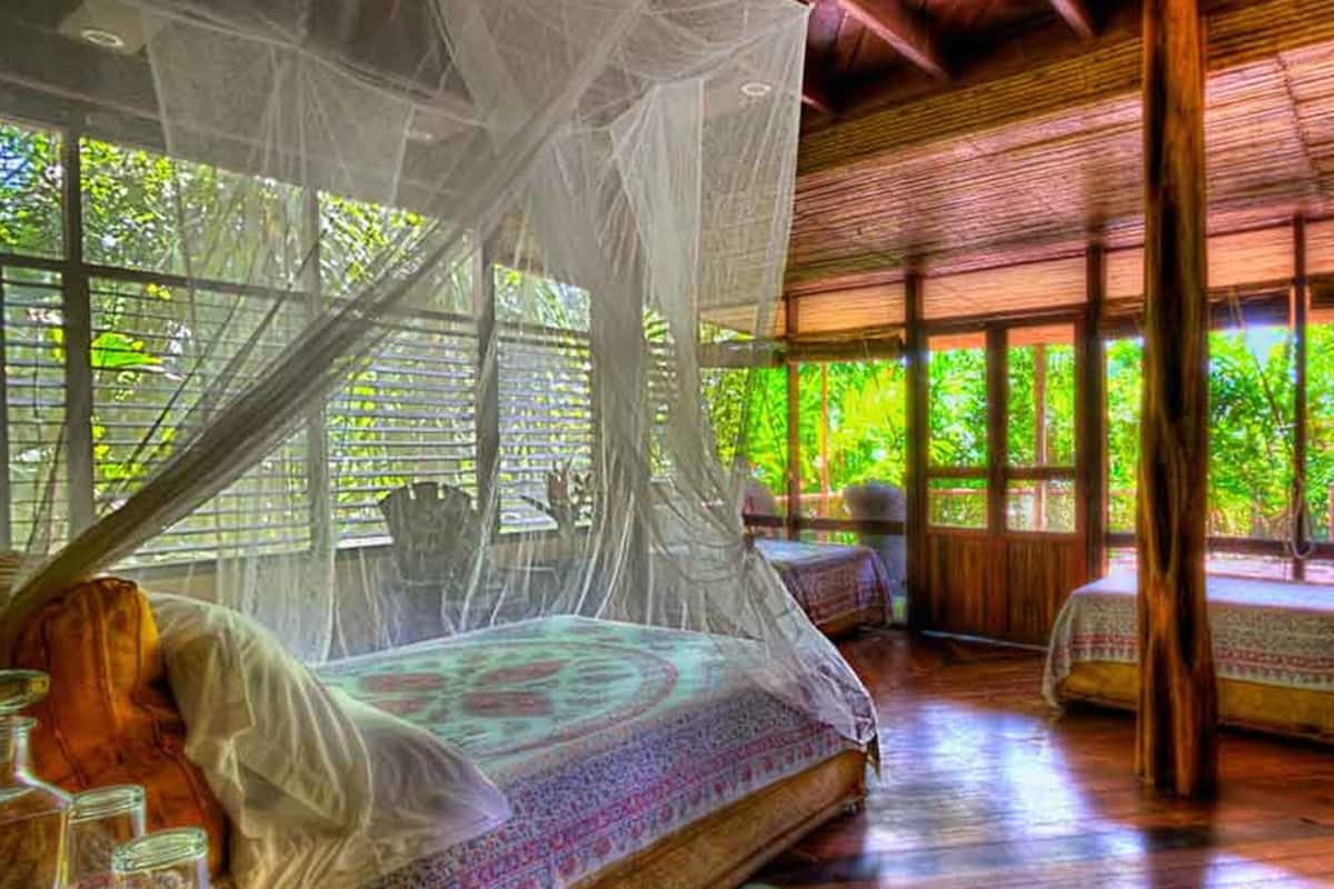 Una habitación con una cama bajo una mosquitera, pisos de madera y grandes ventanas con vista a la vegetación.