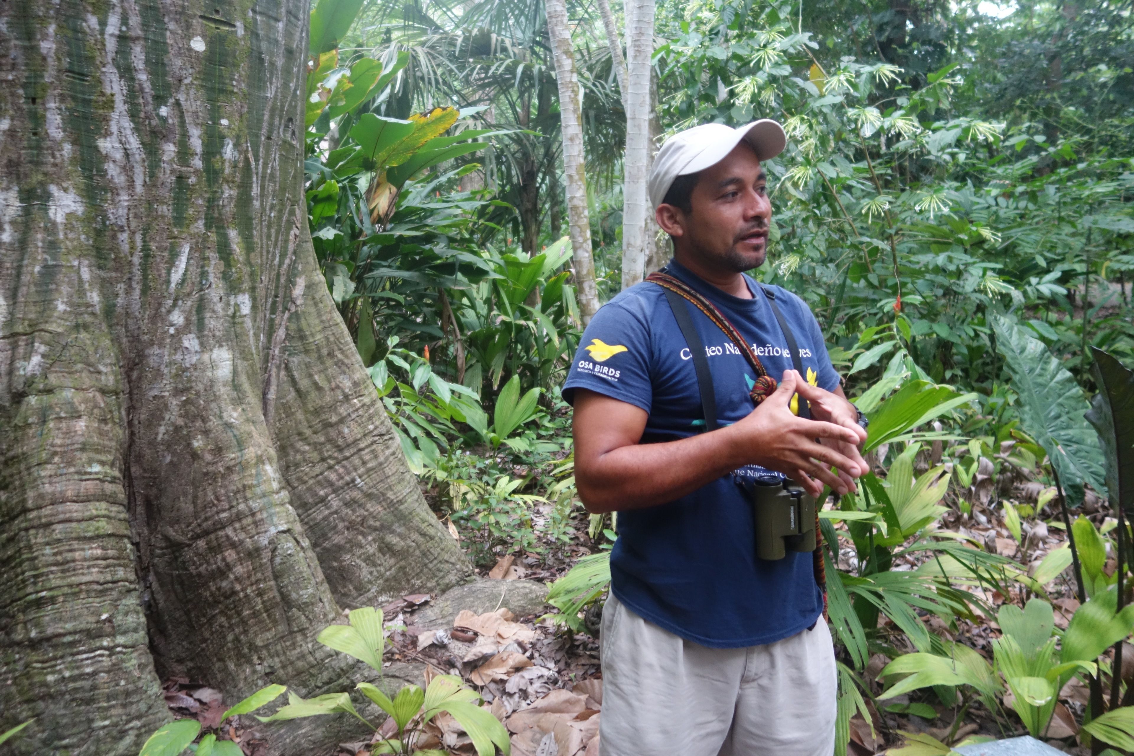 A man in a blue shirt and white shorts standing in a forested area with a camera and binoculars.