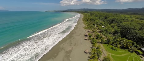 Plage, serviettes de plage, massages sur la plage, yoga sur la plage