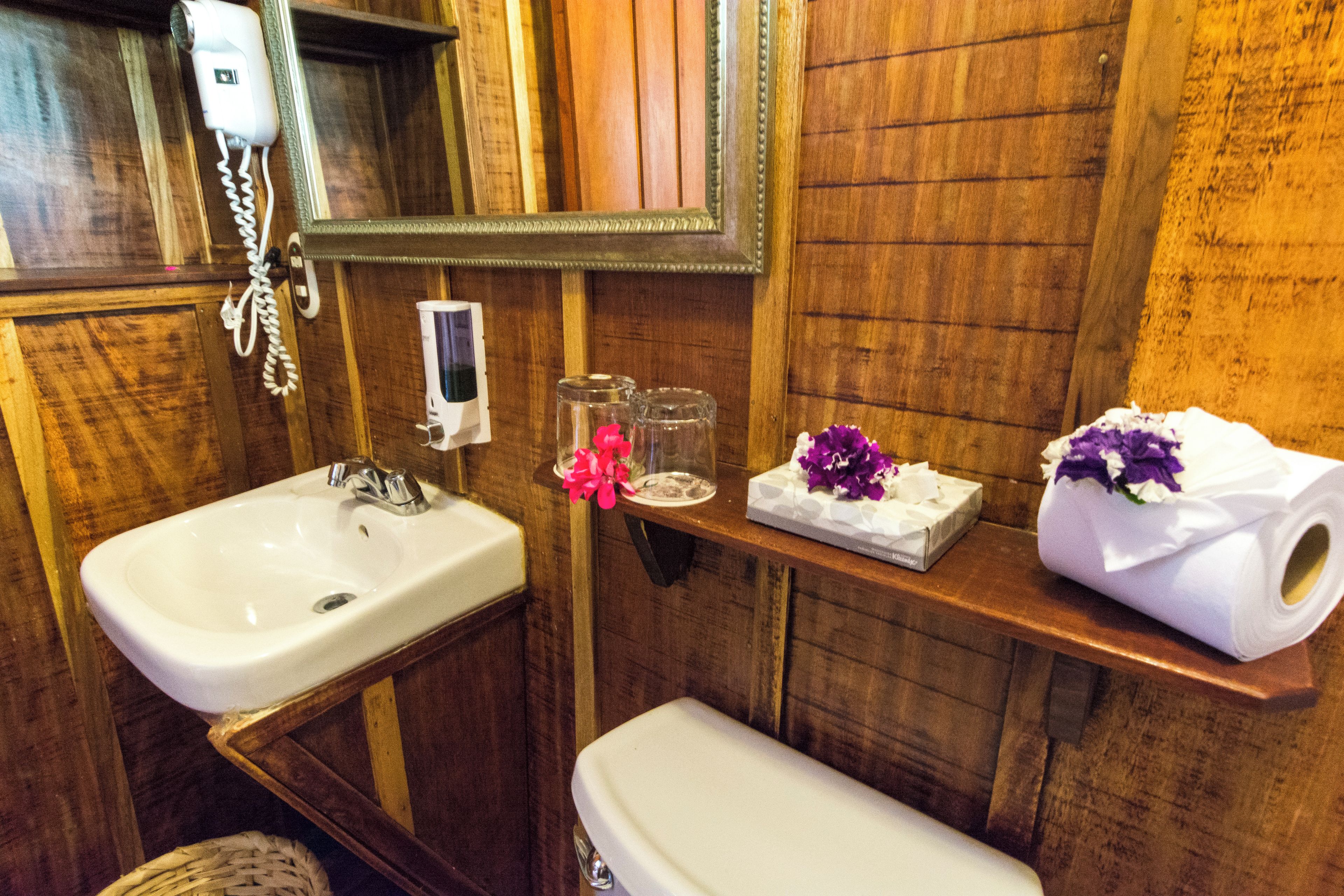 Une salle de bain avec un meuble-lavabo en bois, un évier, des toilettes et un miroir.