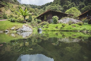 View from property - Trogon Lodge (Páramo)