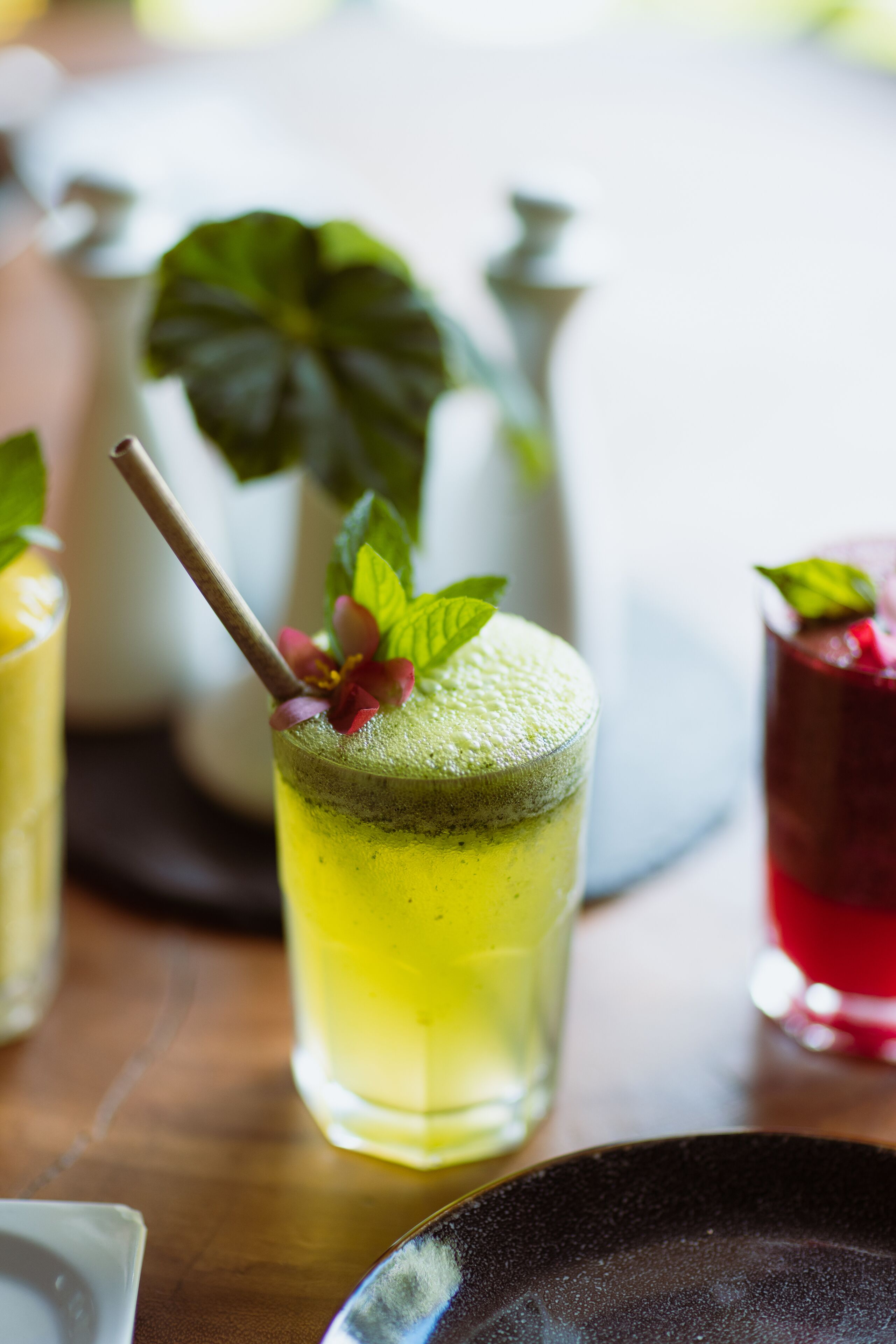 Photo - Trogon Lodge