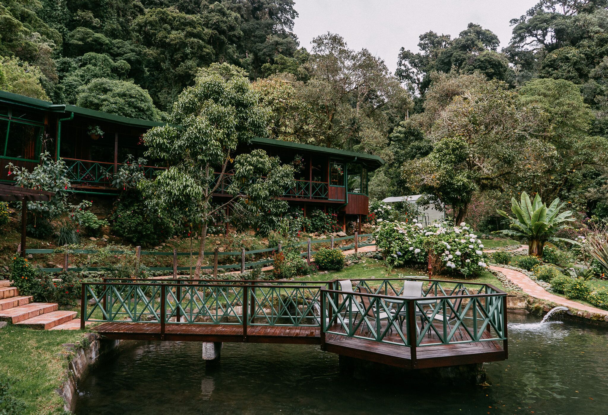 Photo - Trogon Lodge