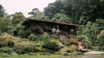 A rustic wooden cabin surrounded by lush greenery and a variety of plants.