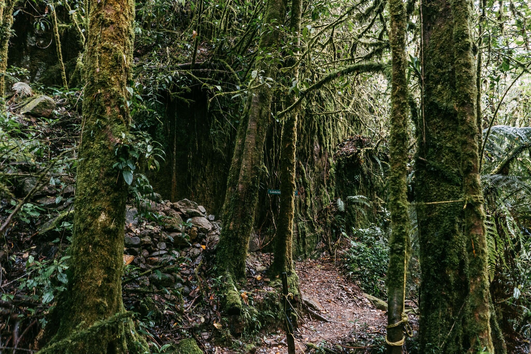 Photo - Trogon Lodge