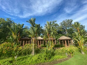 Junior Cabin | Garden - GBoutique Hotel (Los Amates)