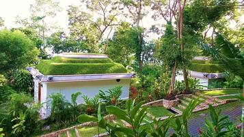 Un edificio de techo plano rodeado de abundante vegetación y un sendero de piedra.