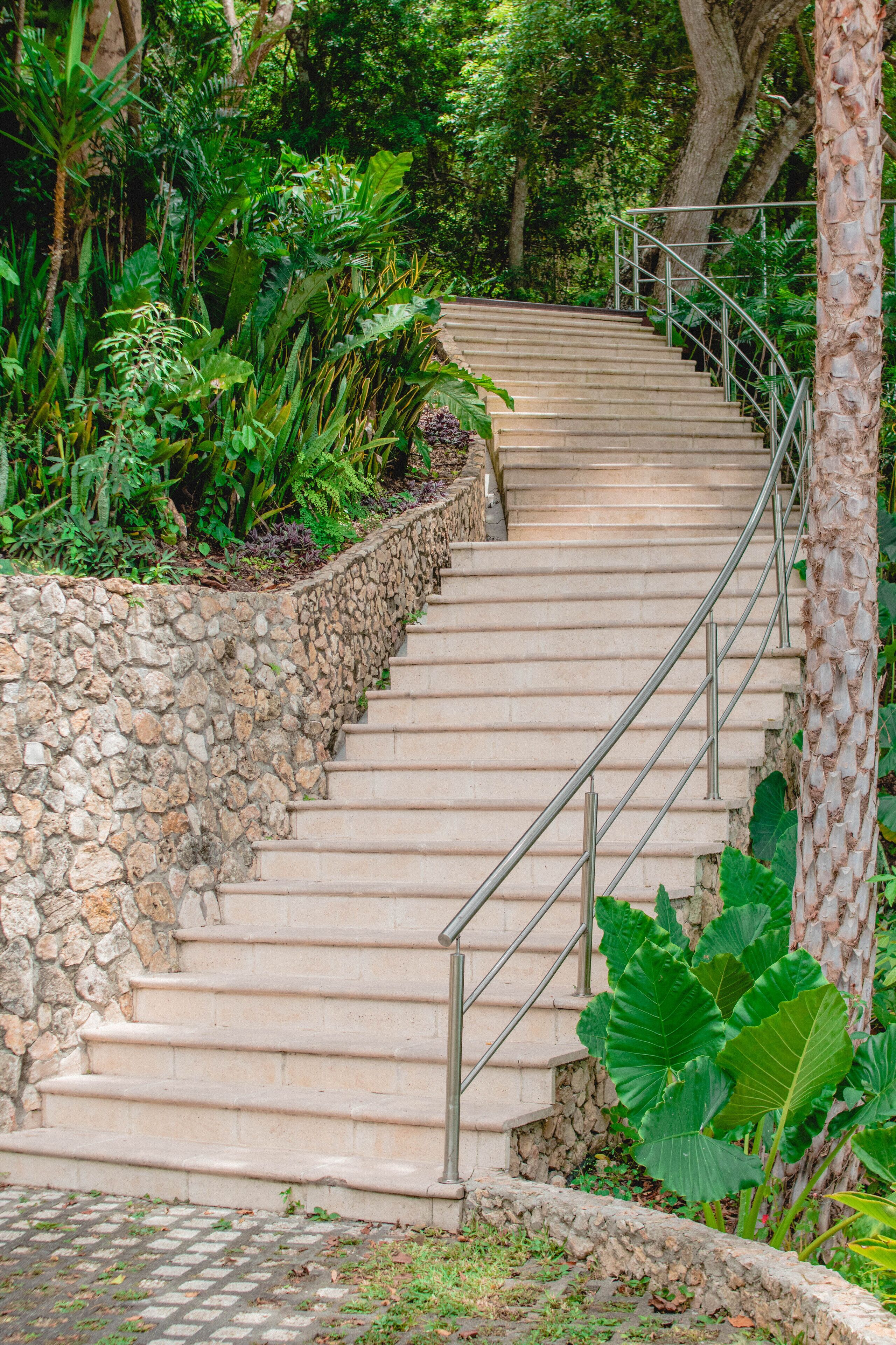 Una escalera de piedra con barandillas metálicas, rodeada de abundante follaje y plantas grandes.