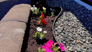 Un jardín ajardinado con diversas flores y un camino de piedra que lleva a un edificio con amplias ventanas.