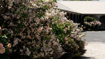 Un bâtiment doté d’une galerie couverte et d’un jardin où s’épanouissent des fleurs roses.