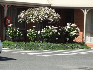 A building with a brick facade, a fire hose reel, and a row of flowering bushes. - Wine Village Motor Inn (Rutherglen)
