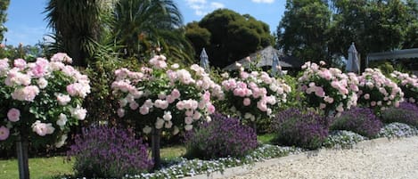 Jardin