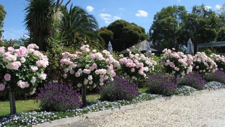 Jardín