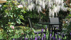 A garden with a table and chairs, a rose bush, and a wisteria plant. - Wine Village Motor Inn (Rutherglen)