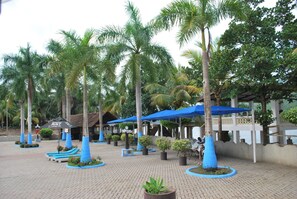 Ảnh chưa phân loại, 3 trong số 34 ảnh, nút