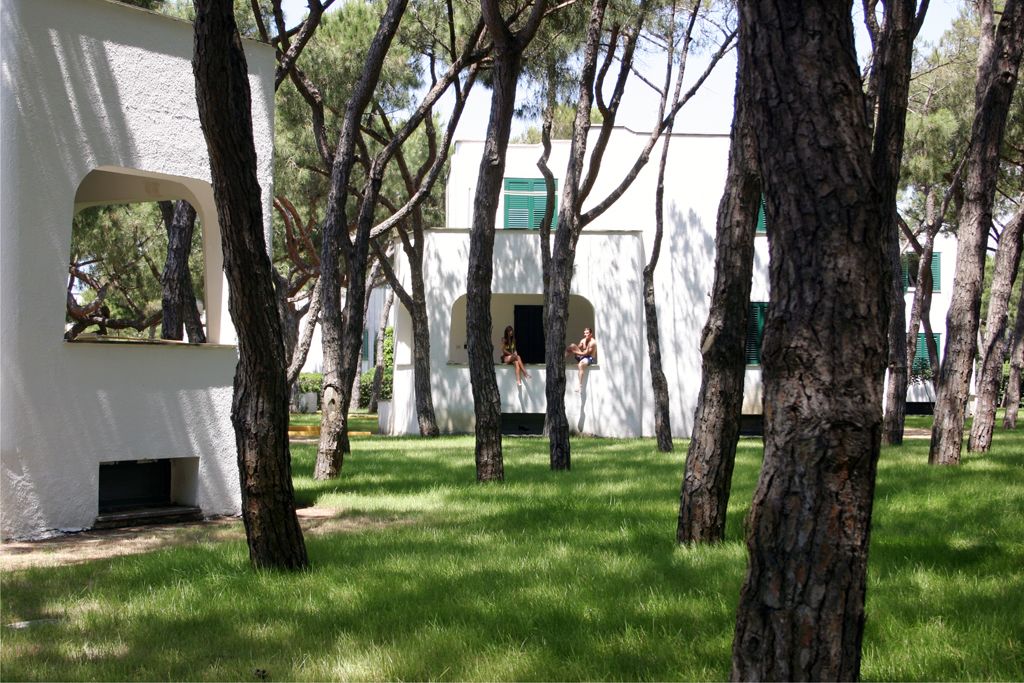 A white building with a window and a door, surrounded by trees and grass.