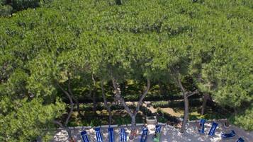 Outdoor pool, pool loungers