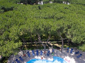 Outdoor pool, pool loungers